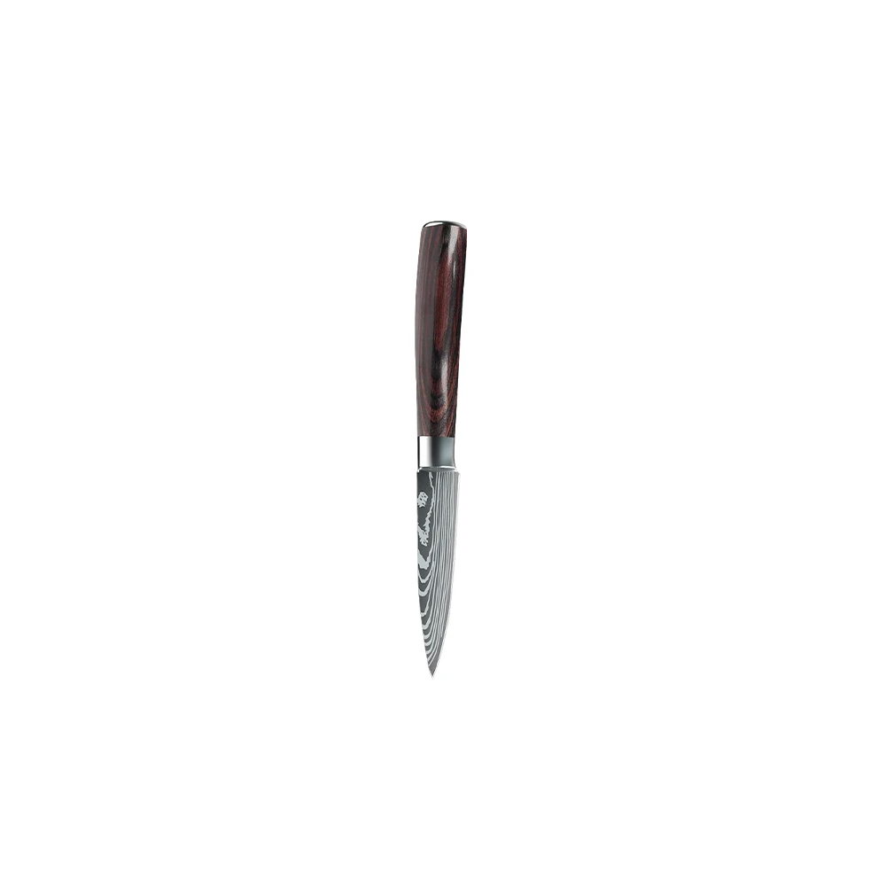 Takeshi Knives® – Le coffret ultime pour les passionnés de cuisine